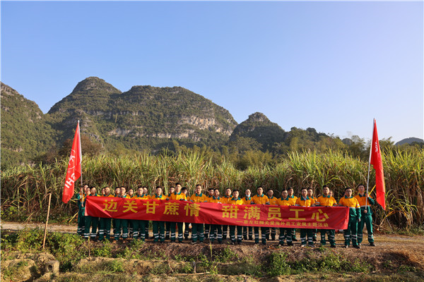 邊關(guān)甘蔗情，“甜”滿員工心—崇左紅獅助海外員工家屬收甘蔗